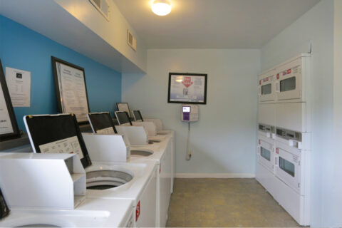 The Laundry Area